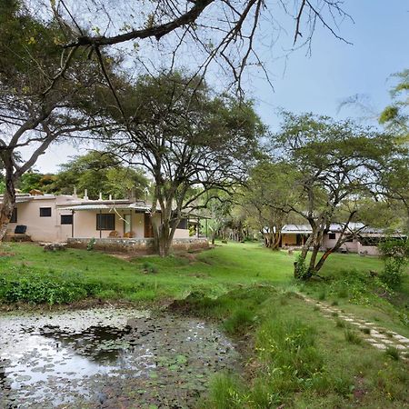 Hotel Jungle Hut Masinagudi Zewnętrze zdjęcie