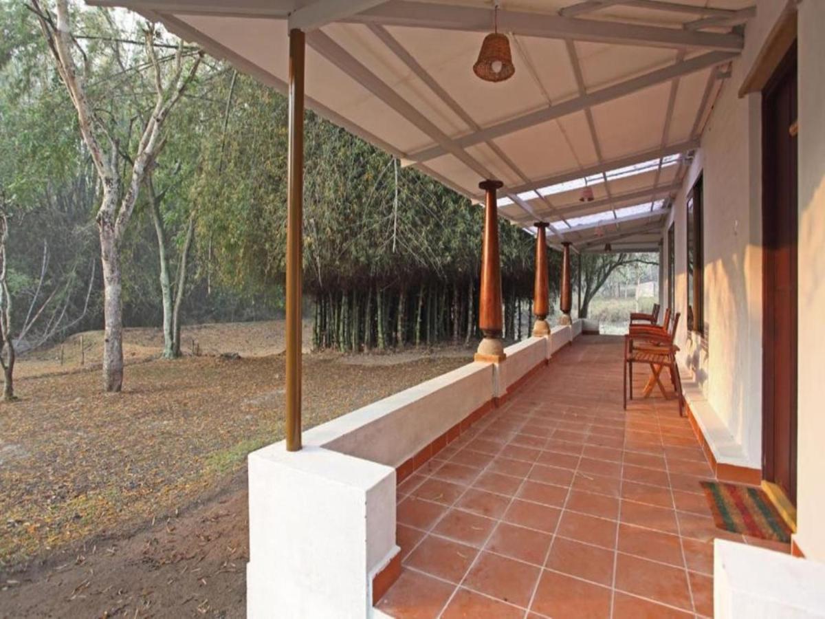 Hotel Jungle Hut Masinagudi Zewnętrze zdjęcie